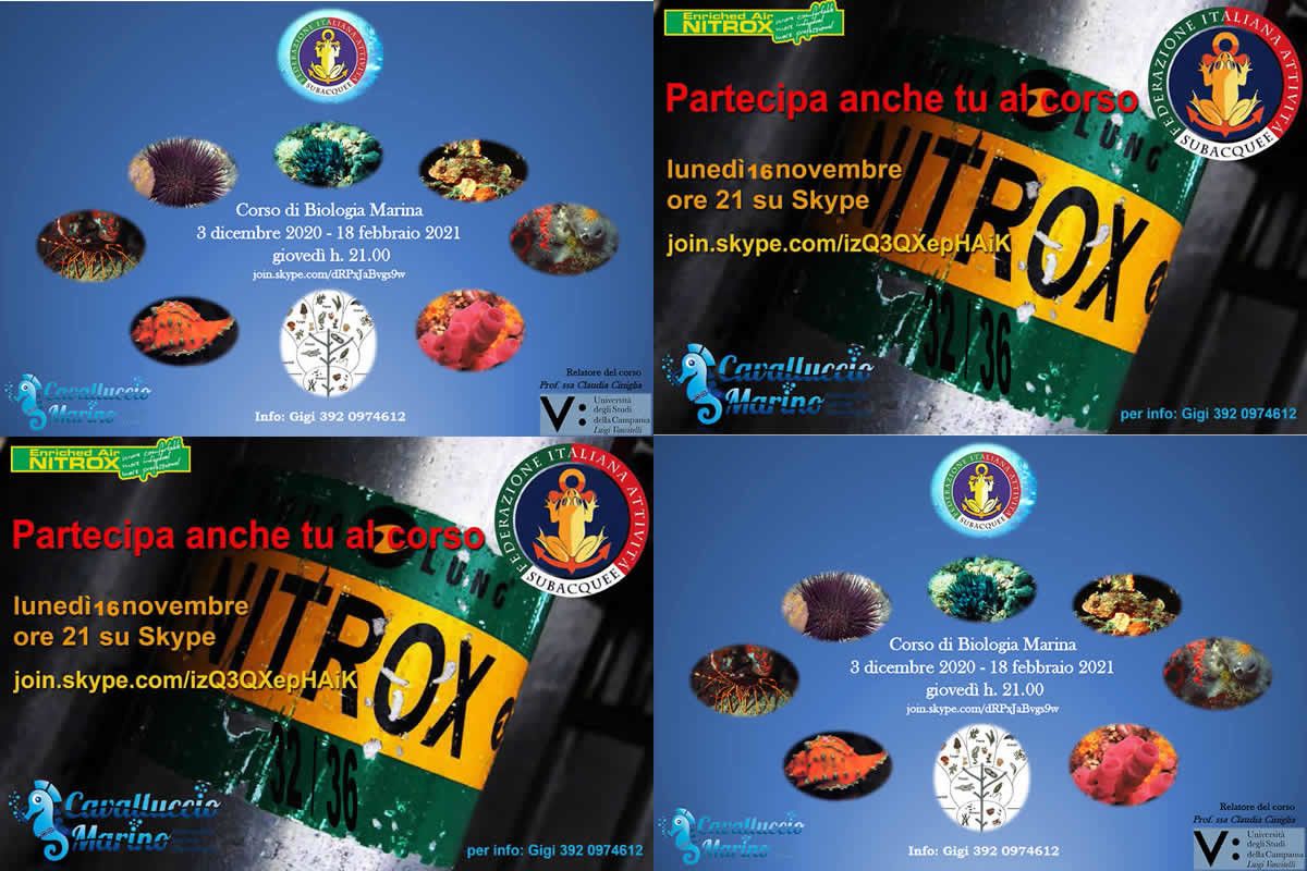 Corsi on line Nitrox 32/36 e Biologia