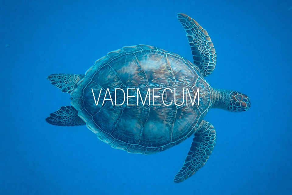 Nuova versione del Vademecum - Rev. 27 del 26 marzo 2021