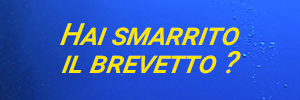 Hai smarrito il tuo Brevetto